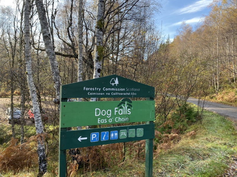 Dog Falls Visit Inverness Loch Ness